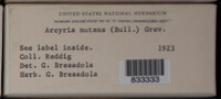 Image Associated With the Occurence